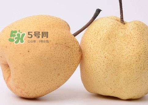 碭山梨好還是皇冠梨好？碭山梨和皇冠梨的區(qū)別
