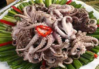 八爪魚(yú)可以冷凍嗎？八爪魚(yú)可以放冰箱嗎？