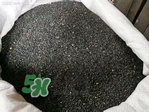 怎么看男人腎好不好？男人腎虛吃什么調(diào)理？