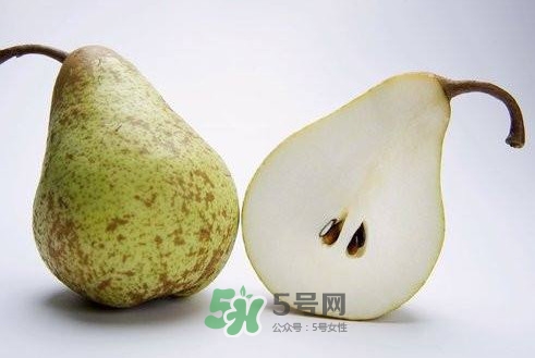 梨子核可以種盆栽嗎？梨子籽怎么種小盆栽