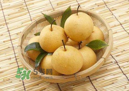 買(mǎi)梨子怎么挑選？梨子外面為什么要包張紙