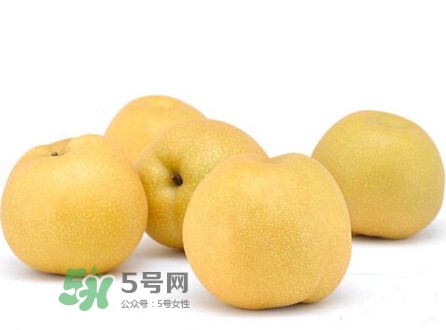 碭山梨什么時(shí)候成熟？碭山梨幾月份成熟