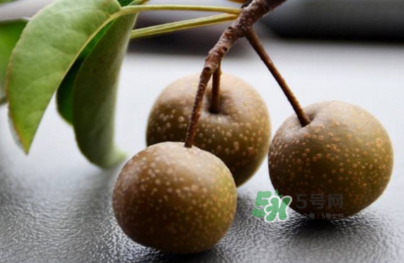 棠梨子怎么吃？棠梨子孕婦可以吃嗎