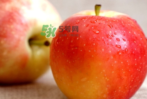 嘎啦蘋果多少錢？嘎啦果多少錢一斤
