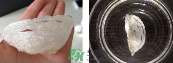 燕窩用什么鍋燉最好吃？燕窩用什么器具燉最好？