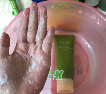 一葉子補(bǔ)水潔面乳怎么樣？一葉子補(bǔ)水洗面奶好用嗎？