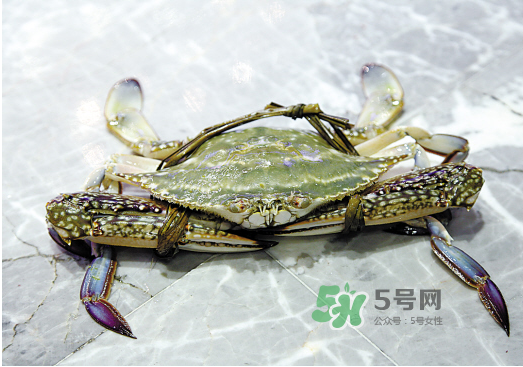 梭子蟹可以和酸奶一起吃嗎？吃完梭子蟹能喝酸奶嗎？