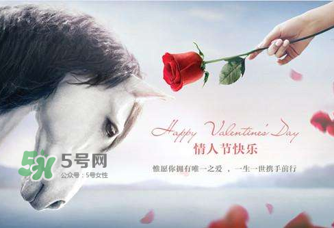 roseonly怎么樣？roseonly好看嗎？
