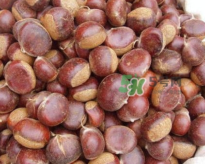 哪里產(chǎn)的板栗最好吃？板栗怎么挑選