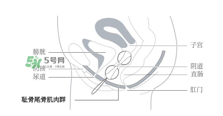 lelo露娜球如何使用方法？露娜球使用感受