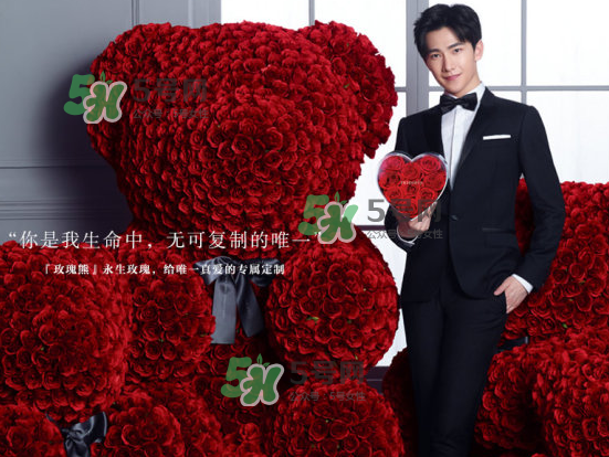 roseonly熊什么材質(zhì)？roseonly玫瑰熊是真花嗎？
