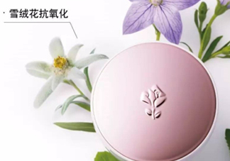 蘭蔻小粉盒氣墊多少錢(qián)？蘭蔻小粉盒氣墊專(zhuān)柜價(jià)格
