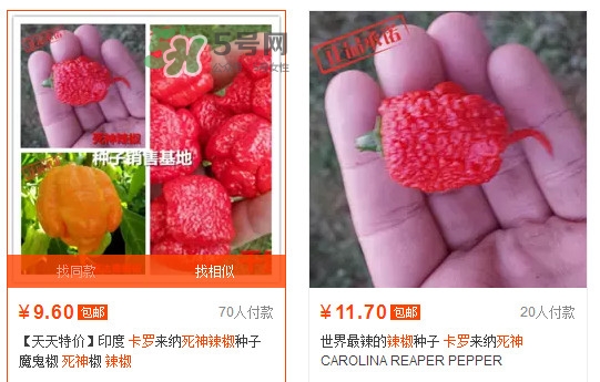 卡羅萊納死神辣椒中國(guó)有嗎？死神辣椒哪里有賣(mài)