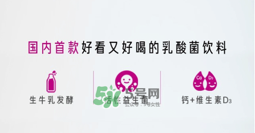 每日活菌乳酸菌多少錢一瓶？每日活菌乳酸菌好喝嗎？