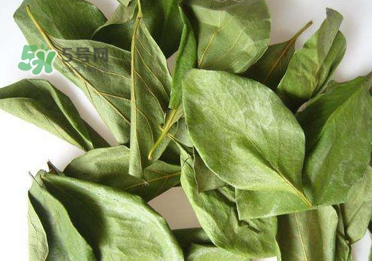 怎樣制作柿子葉茶？柿子葉茶的做法