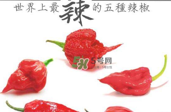 卡羅萊納死神辣椒中國(guó)有嗎？死神辣椒哪里有賣(mài)