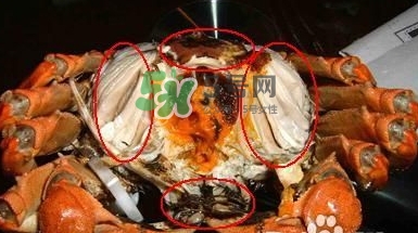 螃蟹怎么吃好吃？螃蟹和什么一起吃最好？