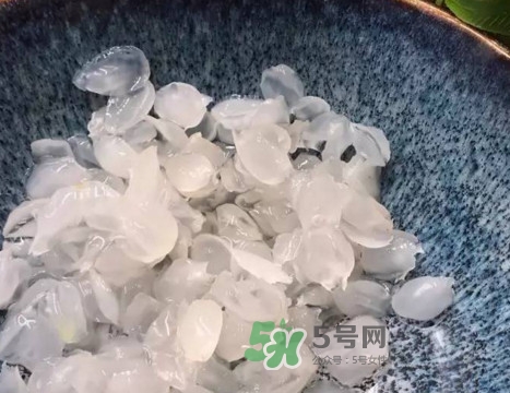 皂角米可以直接煮嗎？皂角米和什么一起煮好