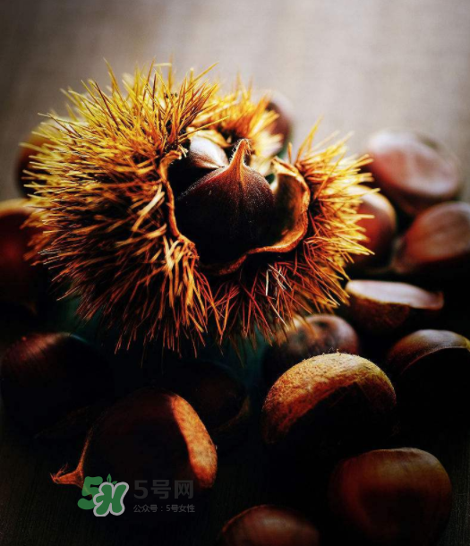 板栗能補腎嗎？板栗補腎陰還是腎陽？