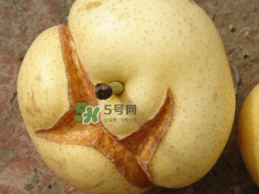 皇冠梨雞爪病能吃嗎？皇冠梨雞爪病怎么辦？