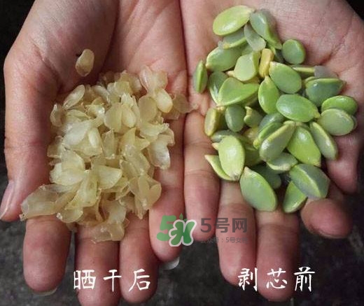 皂角米是什么味道？皂角米是什么顏色
