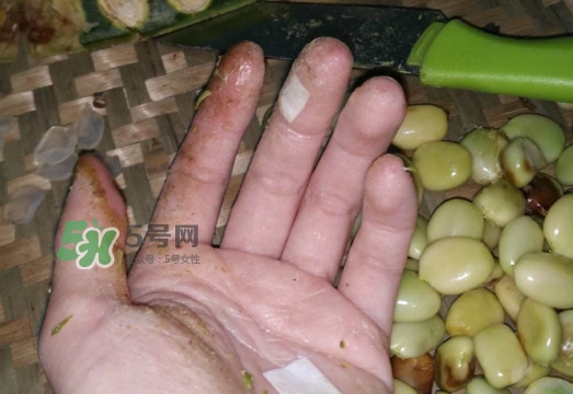 皂角米是怎么剝出來(lái)的？皂角米是酸性還是堿性