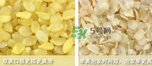 皂角米吃了有什么好處？皂角米的功效與作用