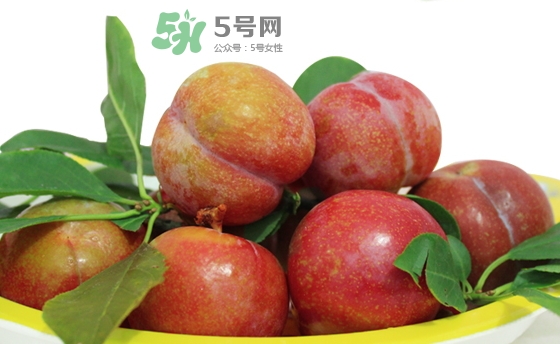 芙蓉李多少錢一斤？芙蓉李價(jià)格