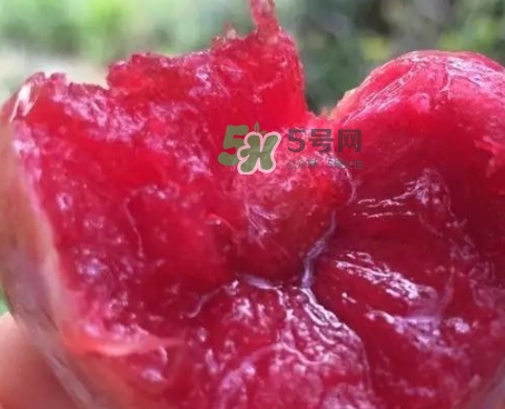 芙蓉李甜嗎？芙蓉李好吃嗎？