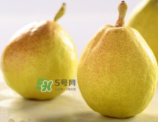 香梨能不能熬冰糖雪梨？香梨可以做冰糖雪梨嗎？