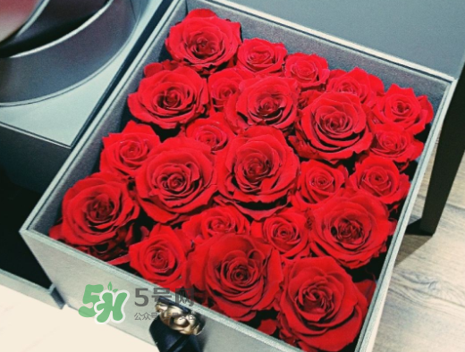 roseonly怎么買？roseonly如何買第二次？
