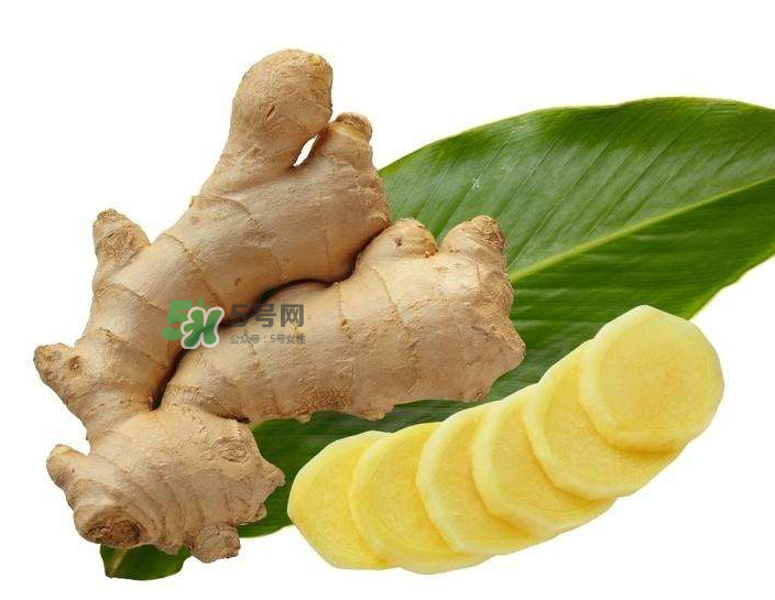 胃病患者可以長期食用生姜嗎？胃不好能不能吃姜？