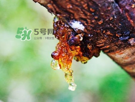 桃膠是發(fā)物嗎？桃膠是中藥嗎