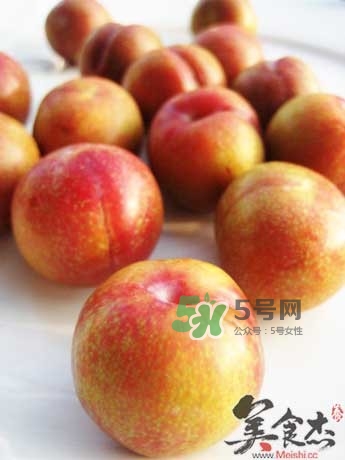 芙蓉李甜嗎？芙蓉李好吃嗎？