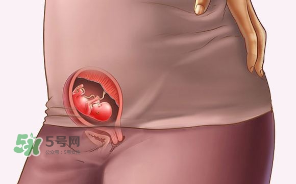 孕期尿頻什么時(shí)候開始？孕期尿頻特別嚴(yán)重