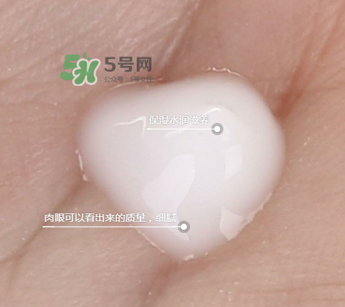 蘭芝新水酷特潤(rùn)乳霜多少錢？蘭芝新水酷特潤(rùn)乳霜價(jià)格