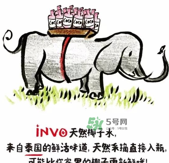 invo椰子水多少錢？invo椰子水好喝嗎？