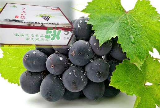 戶太八號什么時候成熟？戶太八號幾月份成熟？