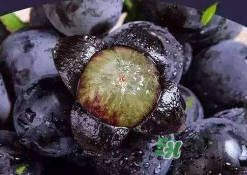 戶太八號多少錢一斤？戶太八號為什么在全國很有名？