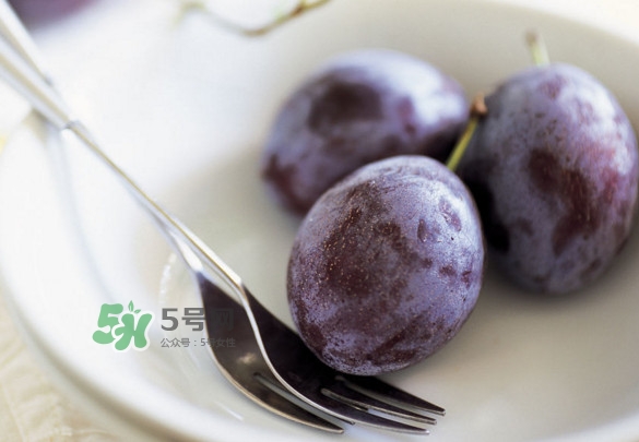 西梅怎么挑選？新鮮西梅怎么保存