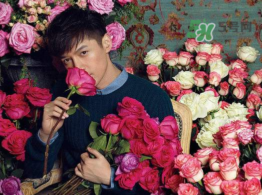 野獸派和roseonly哪個好？野獸派和roseonly區(qū)別