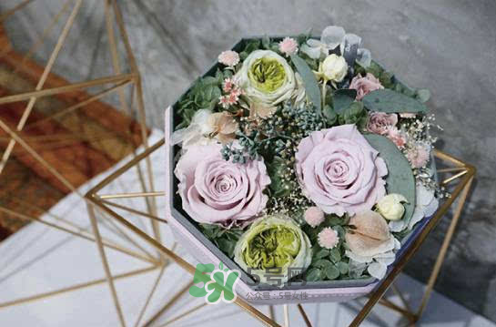 野獸派永生花會(huì)死嗎？野獸派永生花是什么？