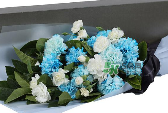 joyflower是哪國(guó)品牌？joyflower怎么樣？