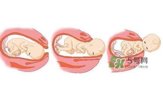 胎兒什么時候入盆？胎兒入盆后胎動會減少嗎？