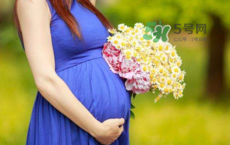 孕婦可以拔牙嗎？孕婦可以拔智齒嗎？
