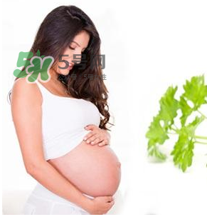 孕婦可以拔牙嗎？孕婦可以拔智齒嗎？