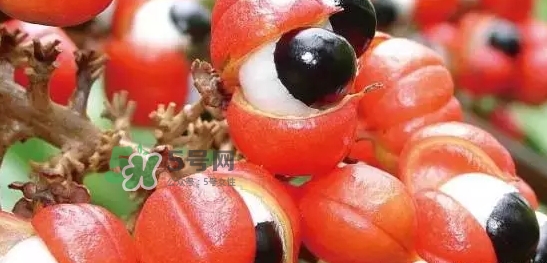 黑卡飲料多少錢一瓶？黑卡6小時(shí)價(jià)格表