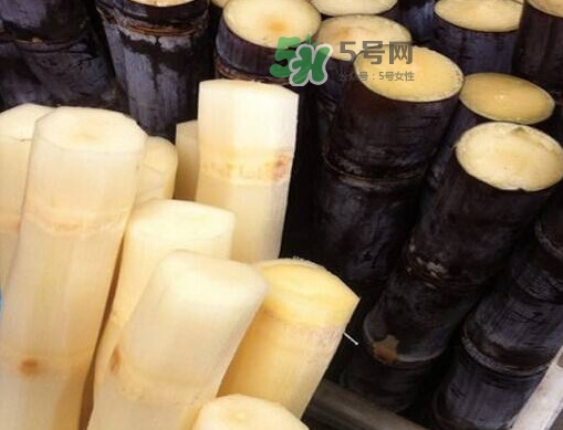 甘蔗是哪里的特產(chǎn)？甘蔗是什么地方的特產(chǎn)