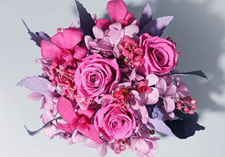 joyflower是哪國品牌？joyflower怎么樣？