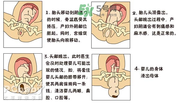 生孩子的過(guò)程是怎樣的？生孩子的真實(shí)過(guò)程